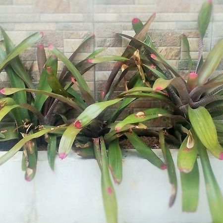 Homestay Bumi Asri III Cikutra Bandung Dış mekan fotoğraf